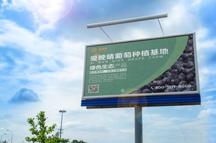 户外高炮广告设计 葡萄产品推广的艺术与策略